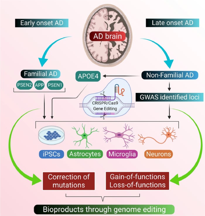 CRISPR and Cas9 approaches in Alzheimer's Disease research