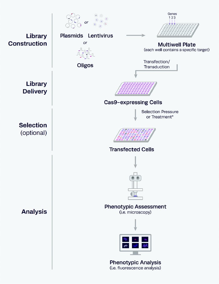 Arrayed libraries process