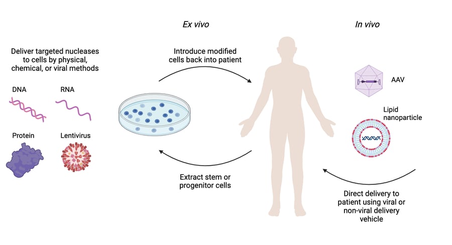 two main methods for introducing new genetic material into cells