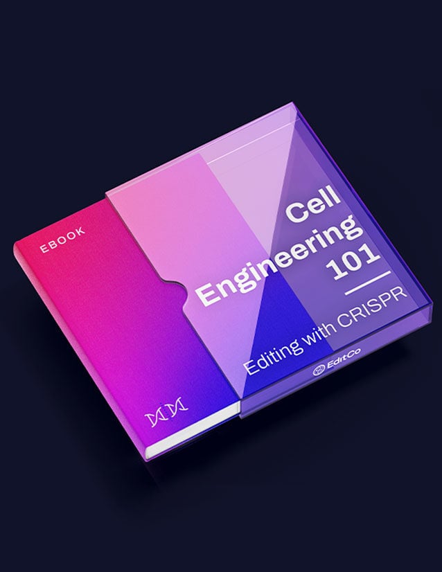 E-book cover