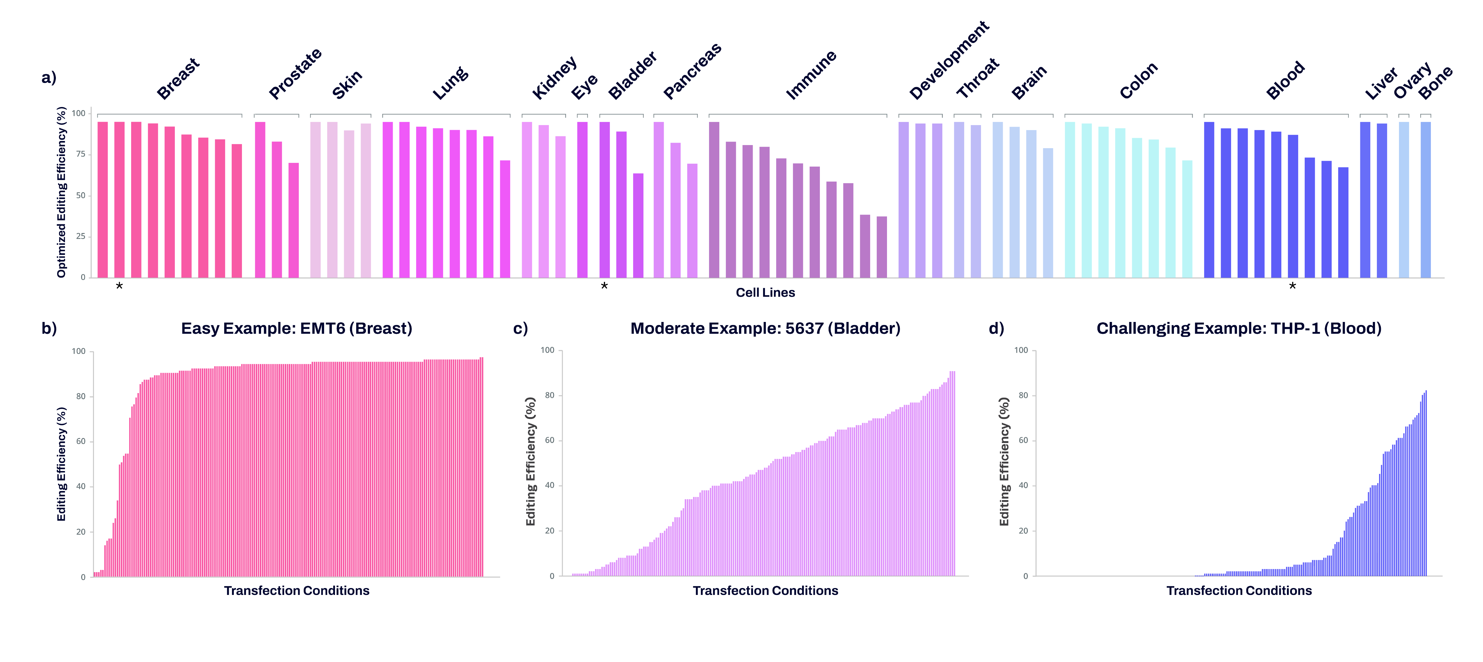 EC-cell line optimization