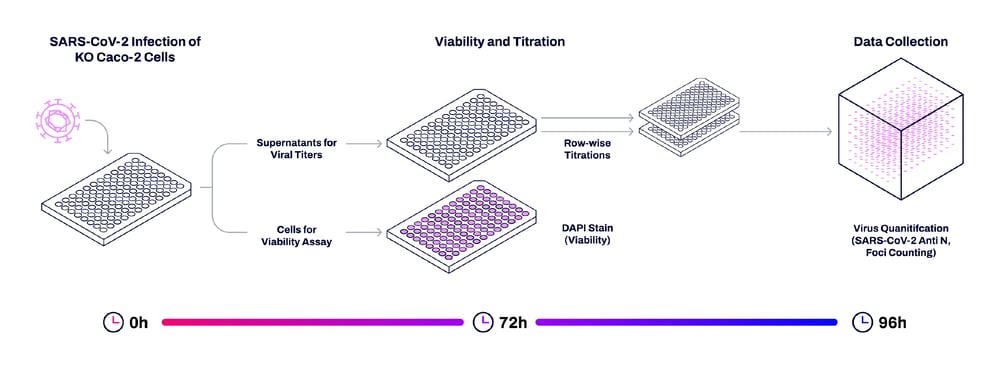 Combating Infection Disease with Innovative CRISPR Technologies chart