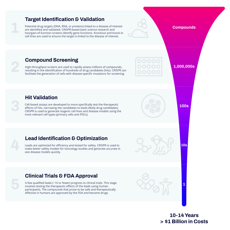 drug target identification process from target identification to approval