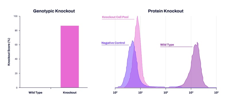 Gene Protein Pool KO