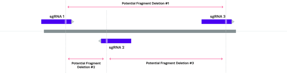 Multi-guide schematic