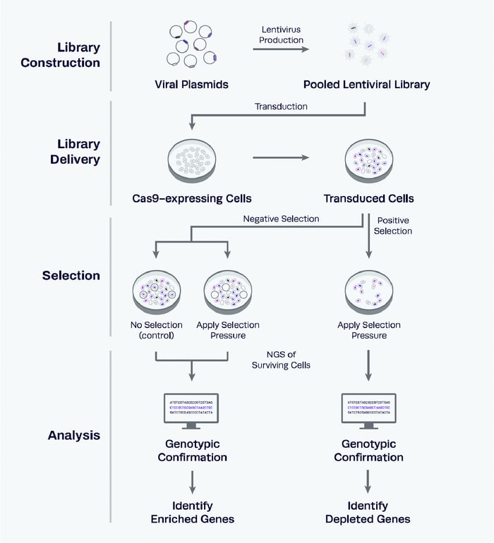 Pooled libraries process