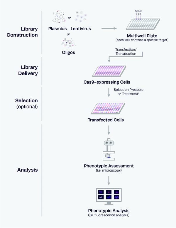 Arrayed libraries process