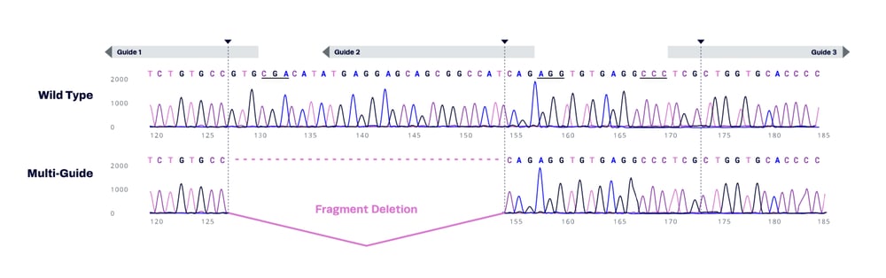 Multiguide gRNA approach