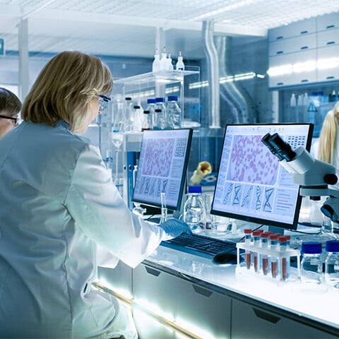 Scientists working on a computer