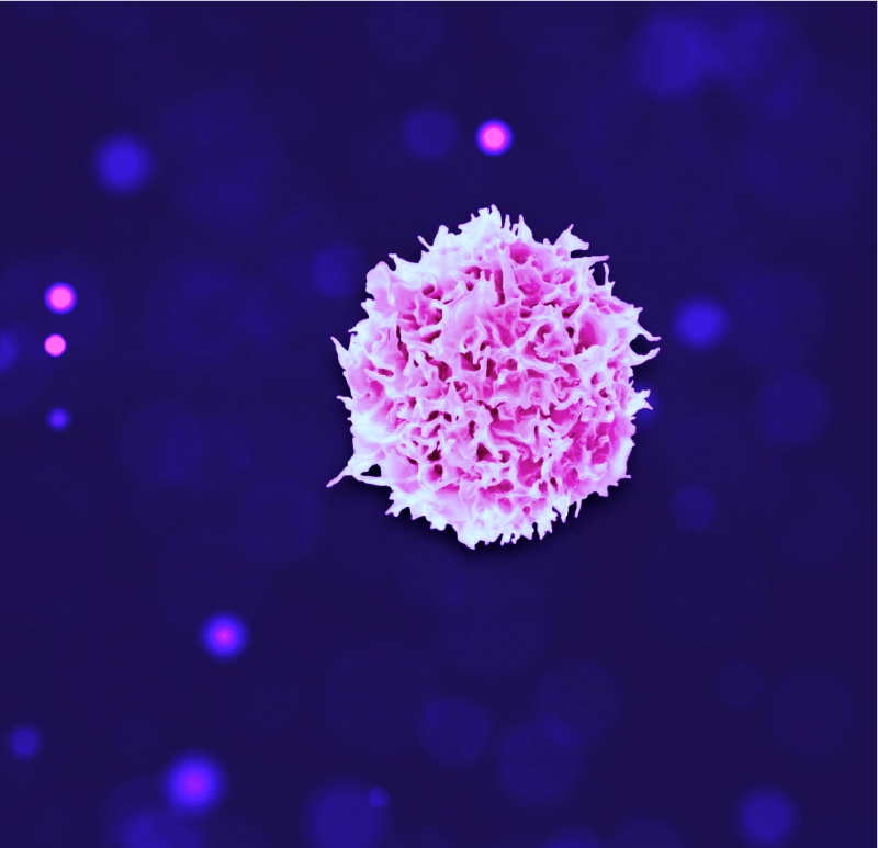 T-cell image