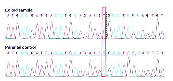 iPSC SNV-2