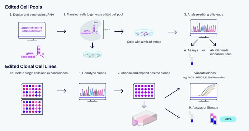 edited cell pools and clonal cell lines for disease models