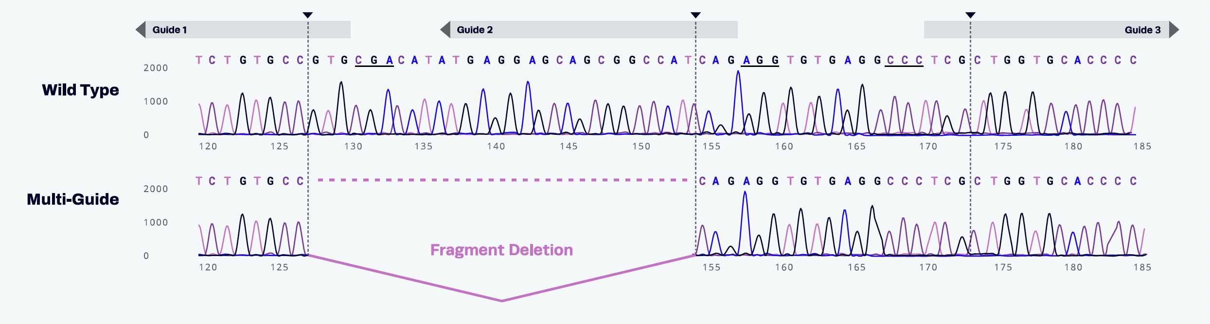 innovative approach to smart guide design for infectious disease