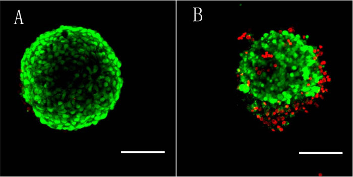 Cell viability assay