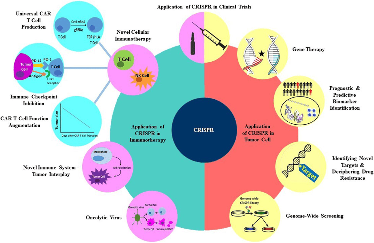 The wide array of CRISPR applications in Immuno-oncology