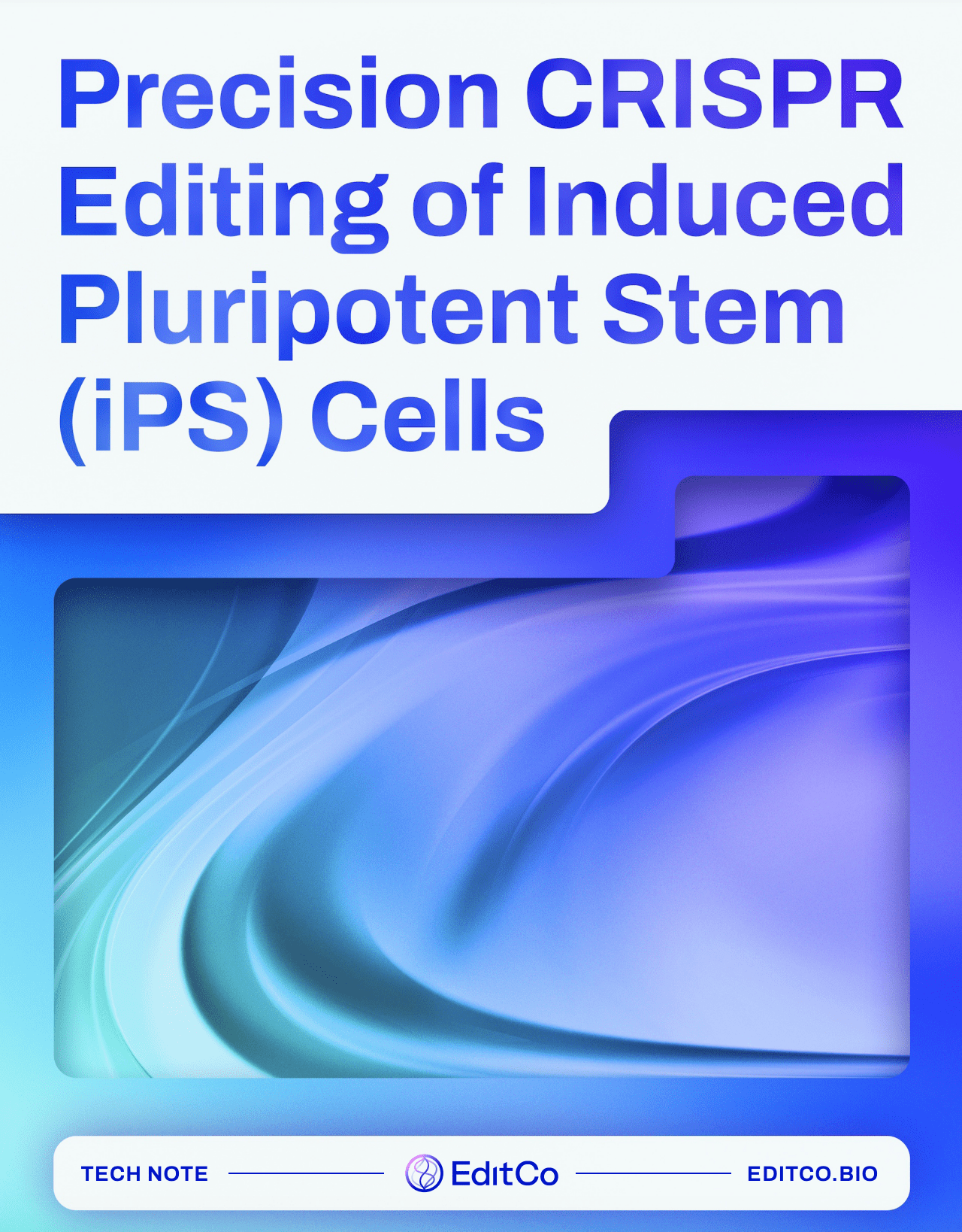 Precision CRISPR Editing of Induced Pluripotent Stem (iPS) Cells