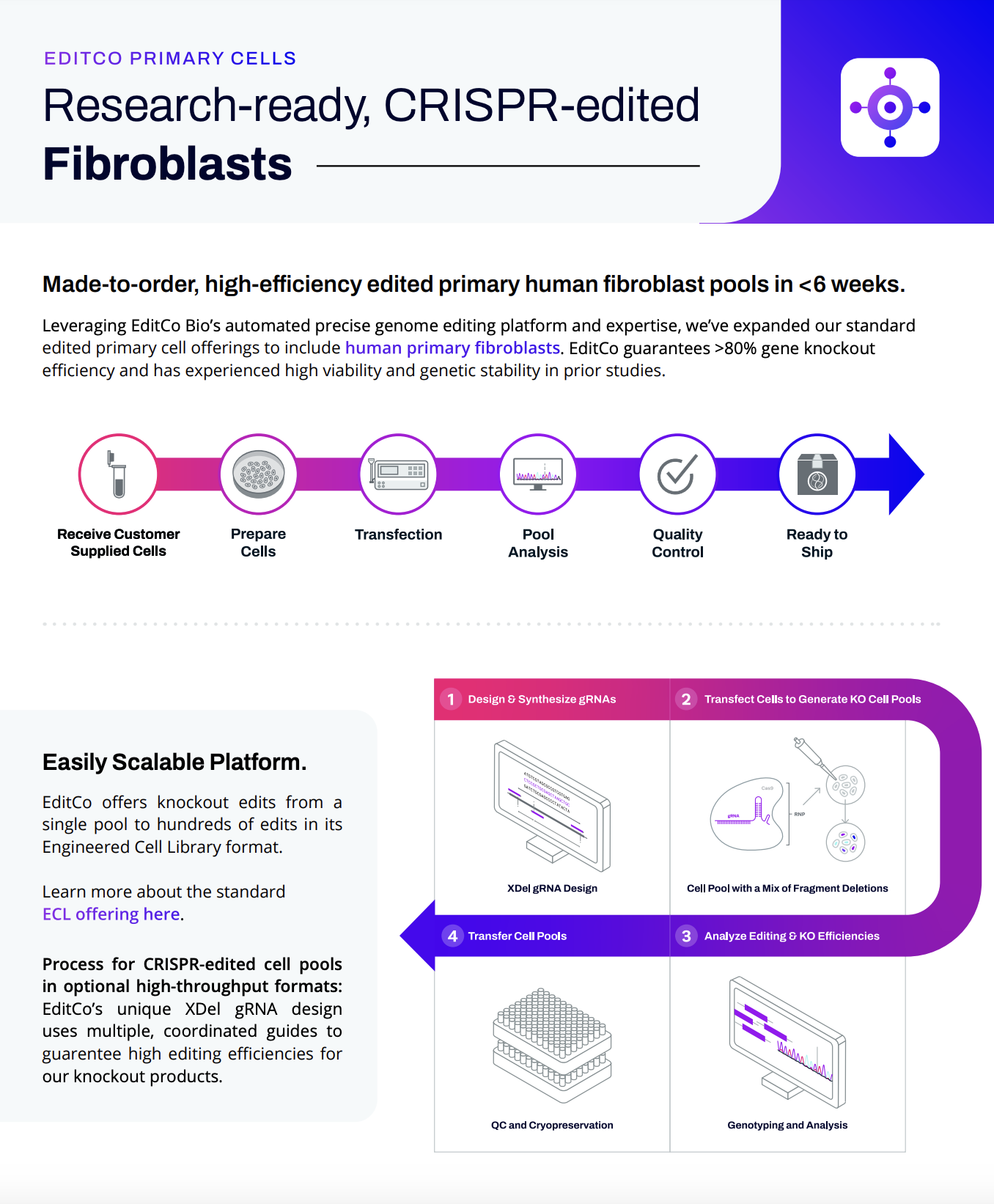 Research-ready, CRISPR-edited Fibroblasts