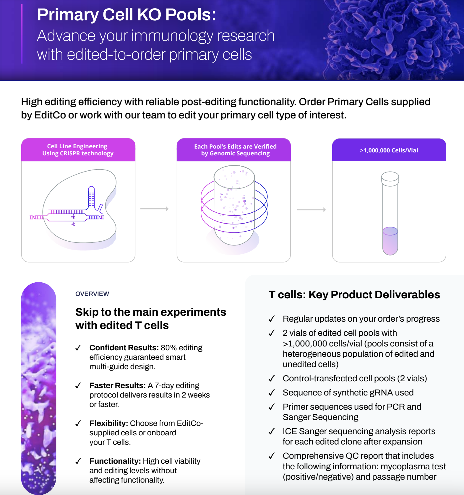 Primary Cell KO Pools: Advance your immunology research with edited-to-order primary cells