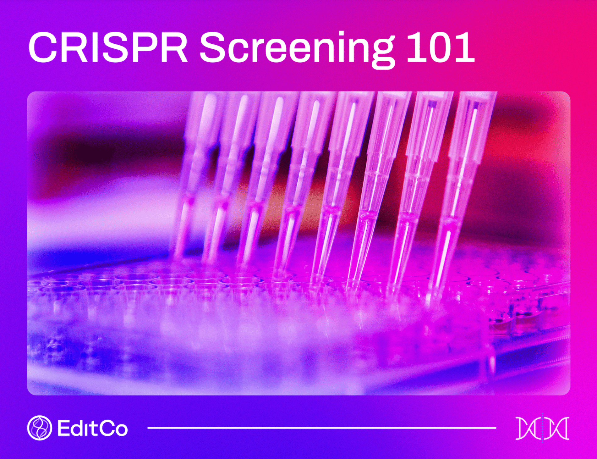 CRISPR Screening 101